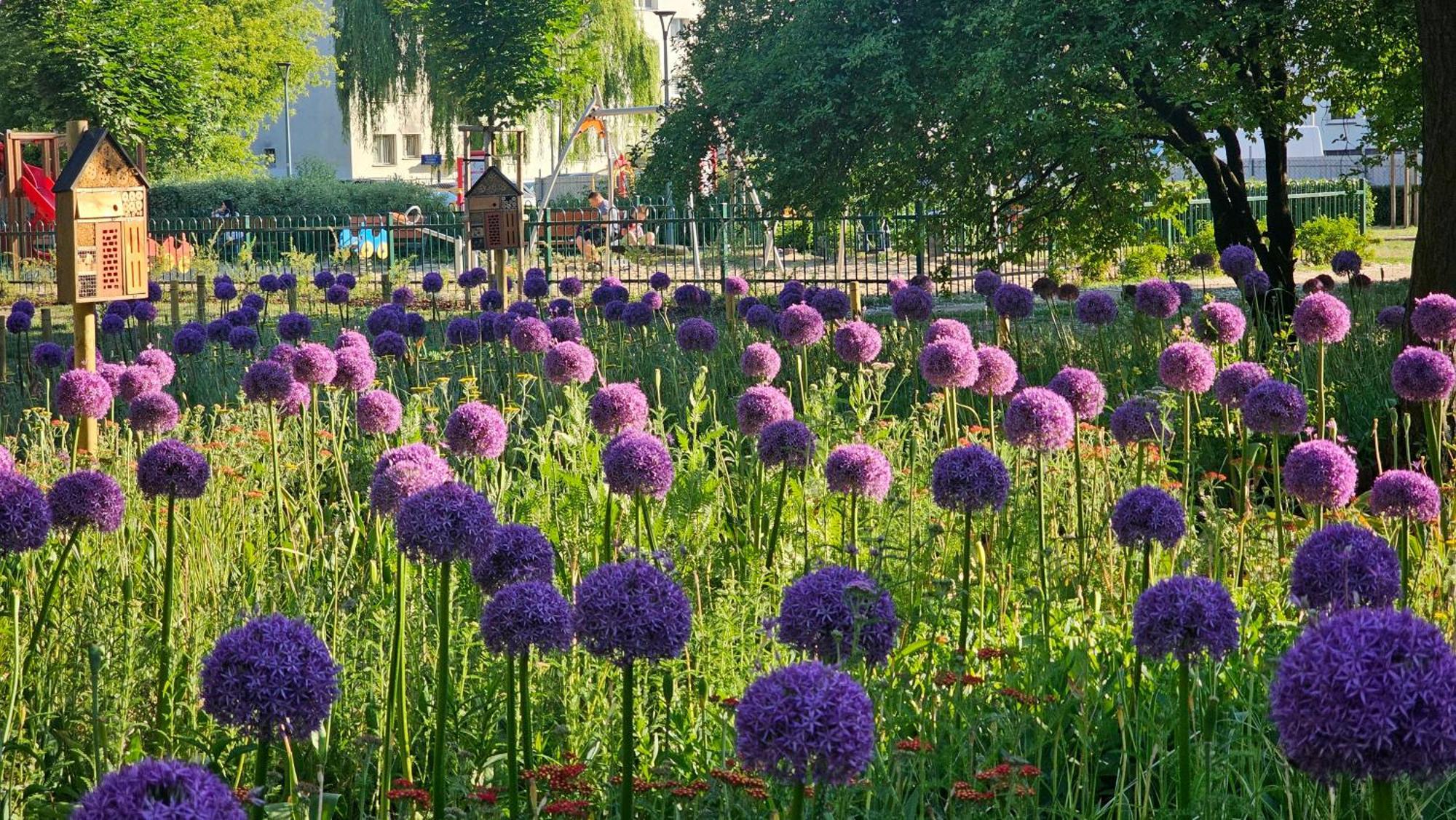 Studio 5 Min Do Centrum Koneser, Blisko Dworzec Wschodni By Visitวอร์ซอ ภายนอก รูปภาพ